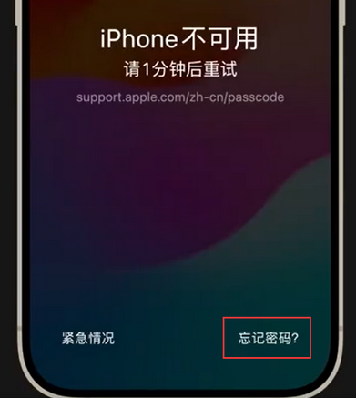青白江苹果手机密码维修分享iPhone忘记了刚设置的密码 
