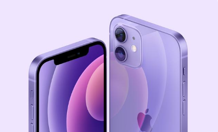 青白江苹果手机维修分享紫色版iPhone 12有什么技术亮点 