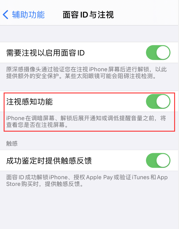 青白江苹果手机维修分享iPhone 12 不会自动锁屏怎么办 